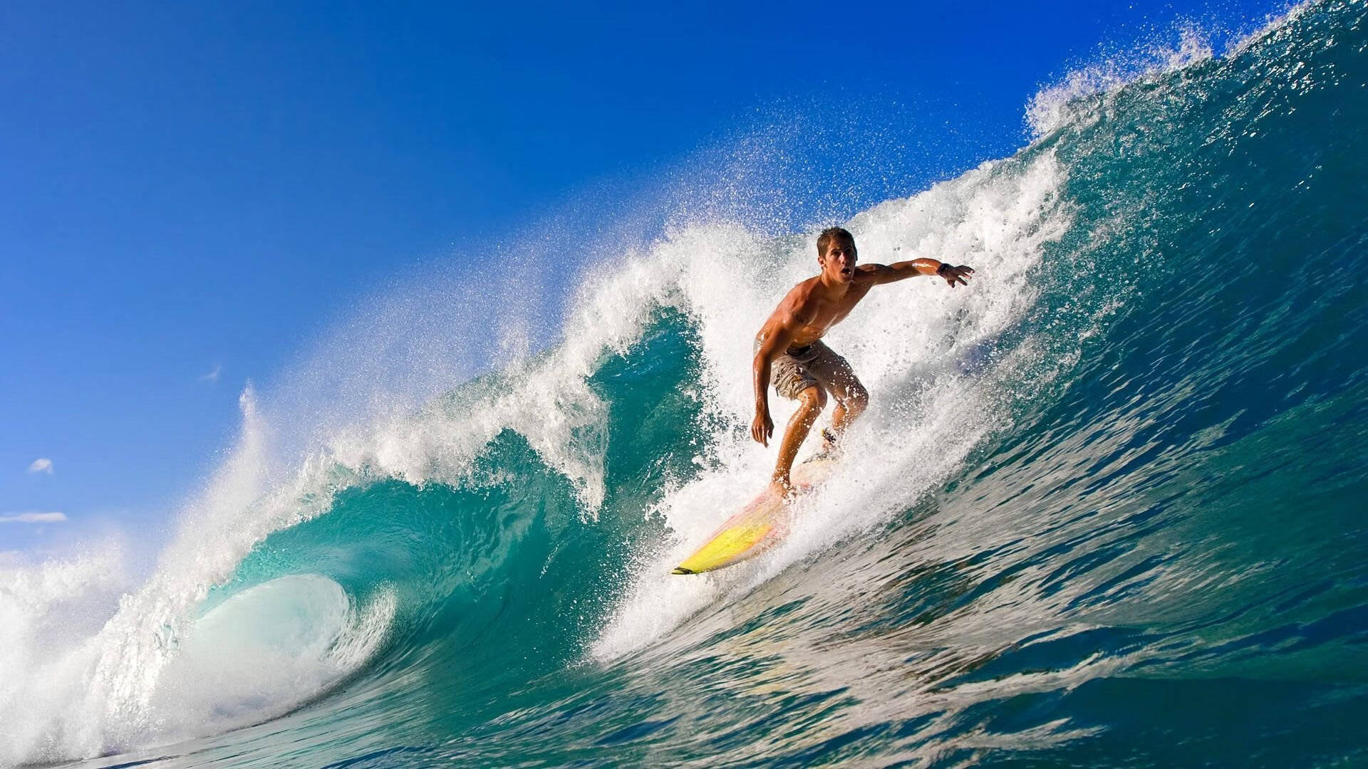 斯瓦泰克全场零封对手，展现完美状态，斯瓦泰克简介